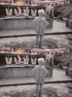 1 ảnh
