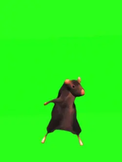 Dancing Rat Meme