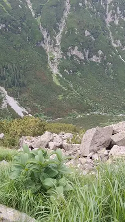 august