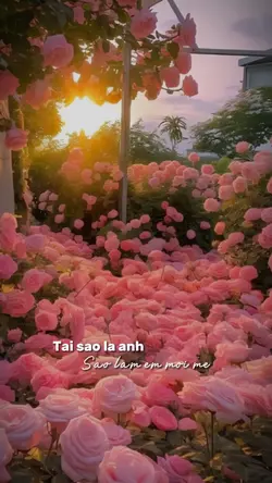 KẾT THÚC SỰ ĐỘC THÂN