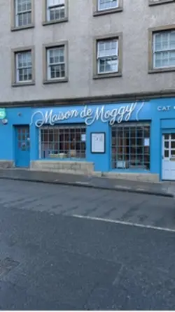 Cat cafe 
