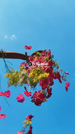 welcome spring 