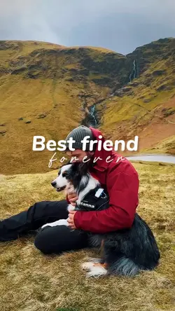 My pet moments 