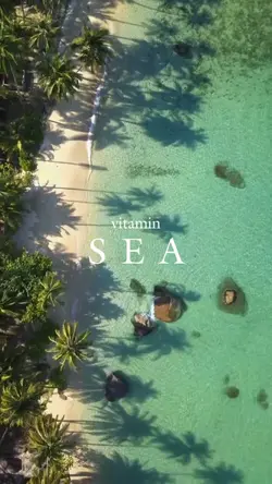 vitamin SEA