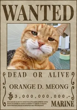 ORANGE D MEONG