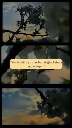 | Bazı dağlar bahara