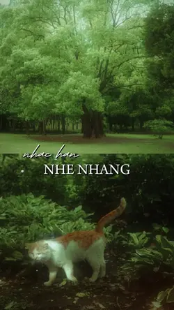 nhẹ nhàng
