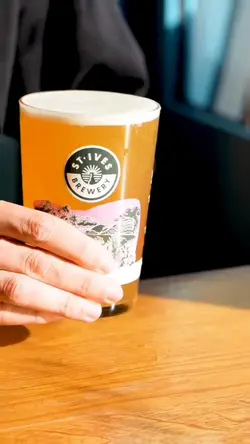 beer video template