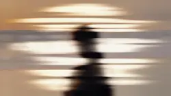 Landscape velocity
