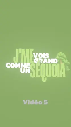Sequoia - Sdm 