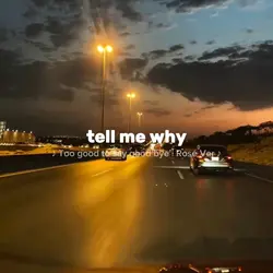 say good bye 