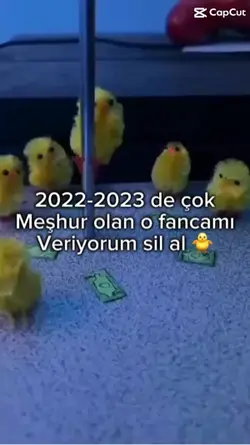 Fancam