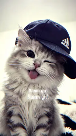 jj daam gerll