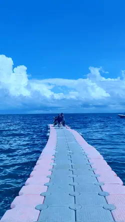 Summer Vacation