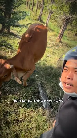 Meme 1 ảnh hot trend