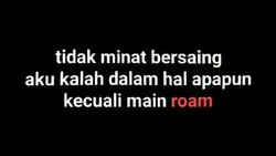 versi roamer