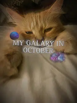 MY GALARY IN OCTOBER