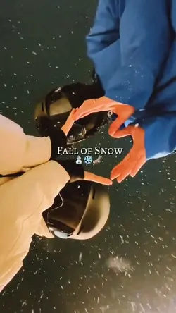 Fall of snow