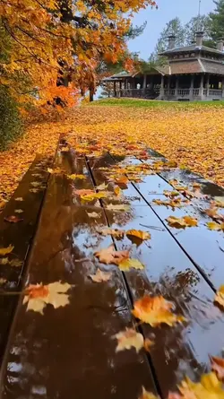 fall-ing in love