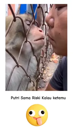 Prank Teman