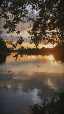 enjoy your life