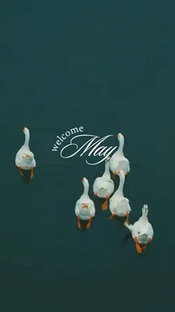 welcome may