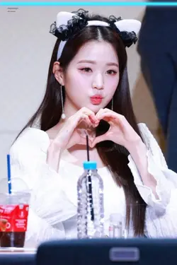 고양이가 되어보세요!