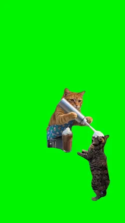 Whip Cream Cats