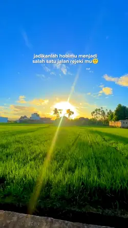 story wa
