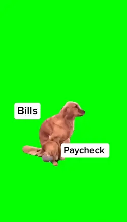Funny humpy dog