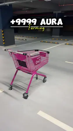 +9999 Aura Farming