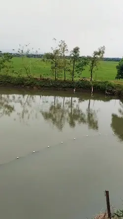 Fresh air 