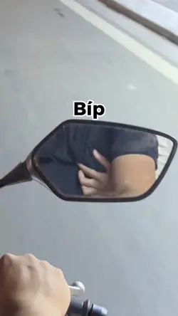 Con bạch tuộc bíp