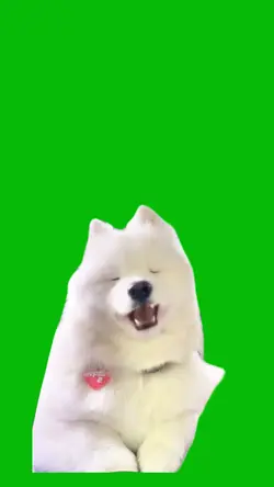 Cute Dog Singing 