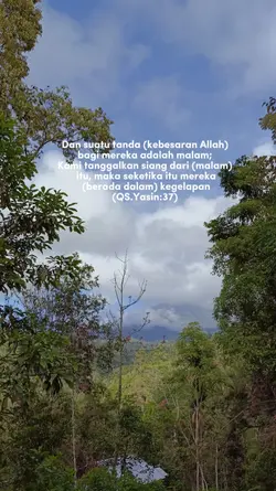 alam