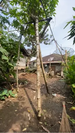 Selang waktu