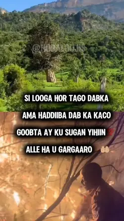 Gaacidh💚🤍❤️ 