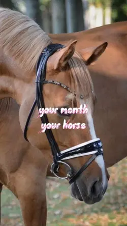 yourmonth, yourhorse