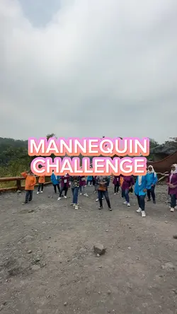 mannequin challenge 