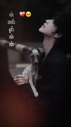 ႁူဝ်ၸႂ်ႁၢမ်းပဝ်ႇ🥺❤️‍🩹