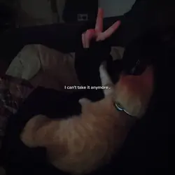 <3 . 