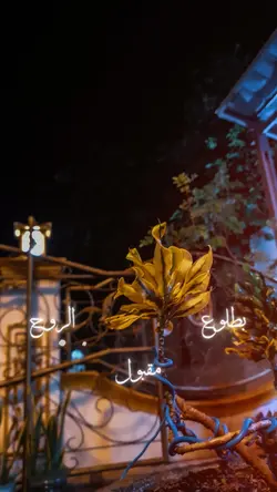 SOUND ARABIC TREND