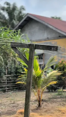 Bungkus" Aku dong