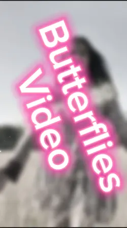Butterflies Video