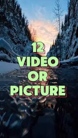 12 video or picture 