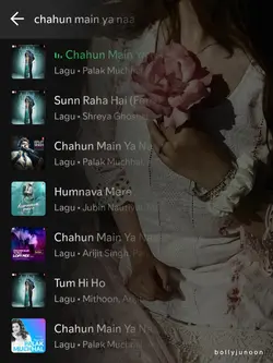 chahun main ya naa