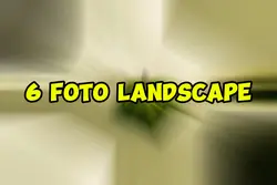 6 foto landscape