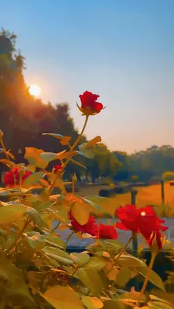 4K QUALITY