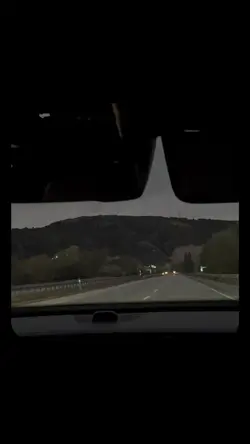 Seni seviyorum 
