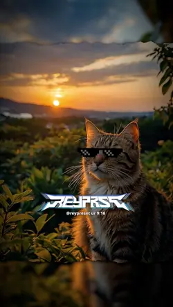 DJ TE MOLLA X TAKUTU